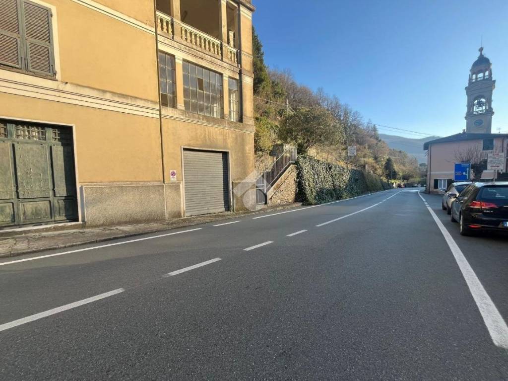 immagine annuncio 7 di 14