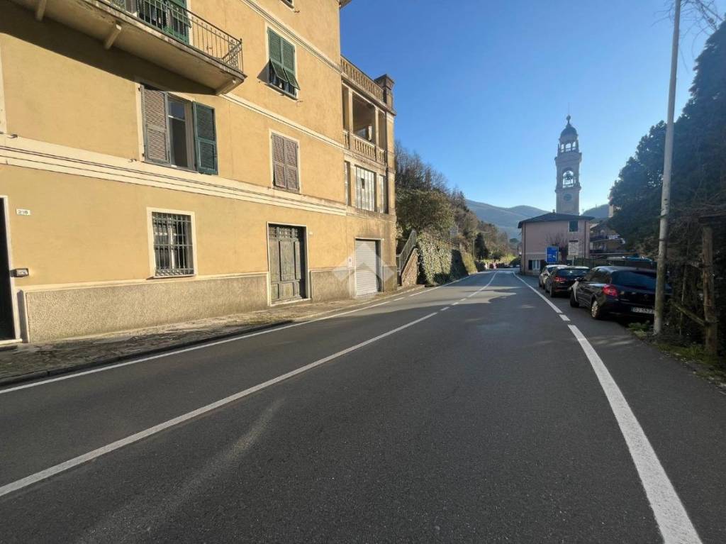 immagine annuncio 11 di 14