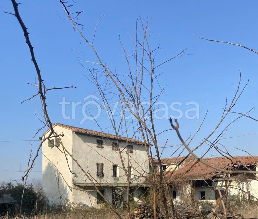 immagine annuncio 4 di 7