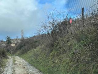 Terreno agricolo in vendita a petralia sottana strada provinciale delle petralie