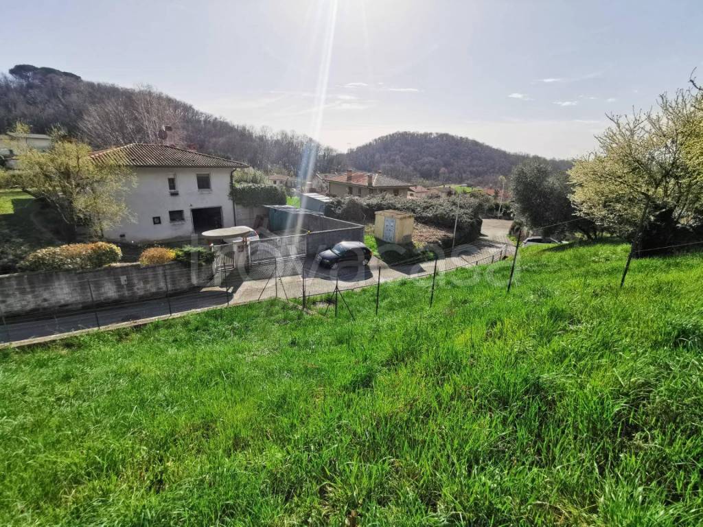 immagine annuncio 4 di 6