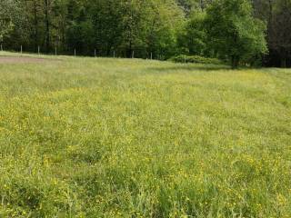 Terreno agricolo in vendita a gravellona toce via officine elettriche, 10