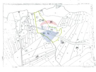 Terreno agricolo in vendita a paternò contrada costiera del pantano