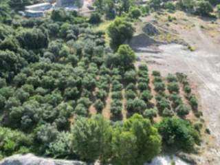 Terreno agricolo all'asta a gallicchio ss598