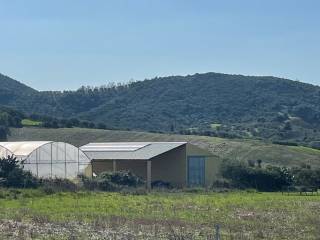 Terreno agricolo in vendita a narcao sp78