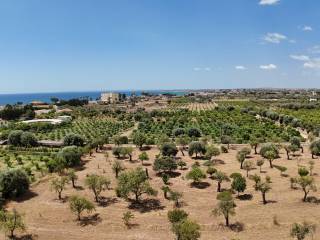 Terreno residenziale in vendita a noto falconara