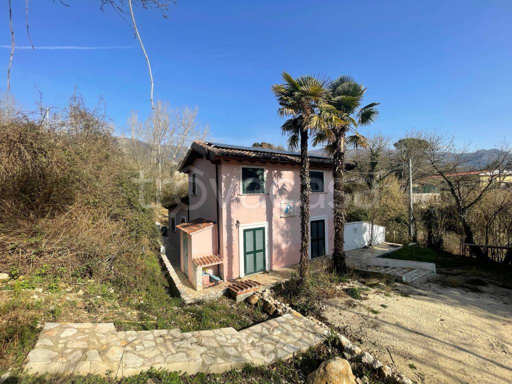 immagine annuncio 1 di 13