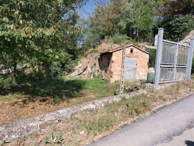 immagine annuncio 1 di 6