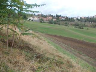 Terreno agricolo all'asta a loiano via santa margherita, 40050 loiano bo, italia