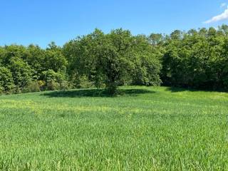 Villa in vendita a godega di sant'urbano località stabbiano di sotto