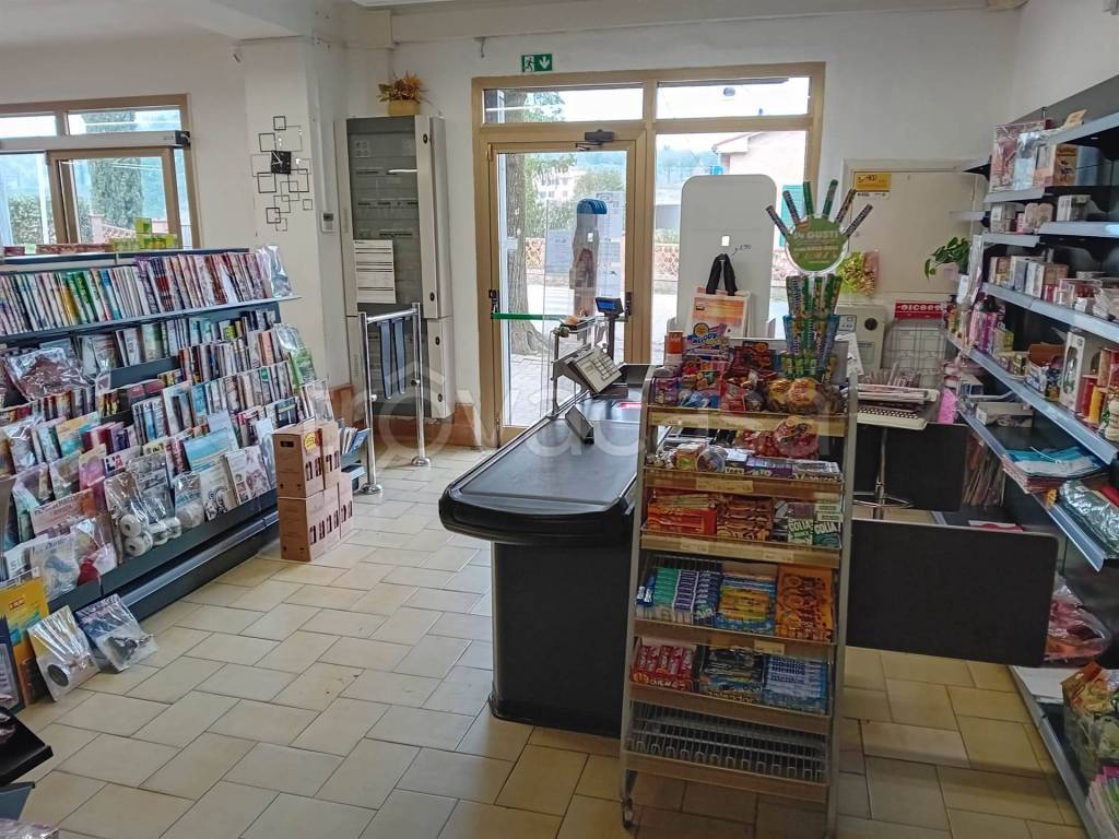 immagine annuncio 9 di 11