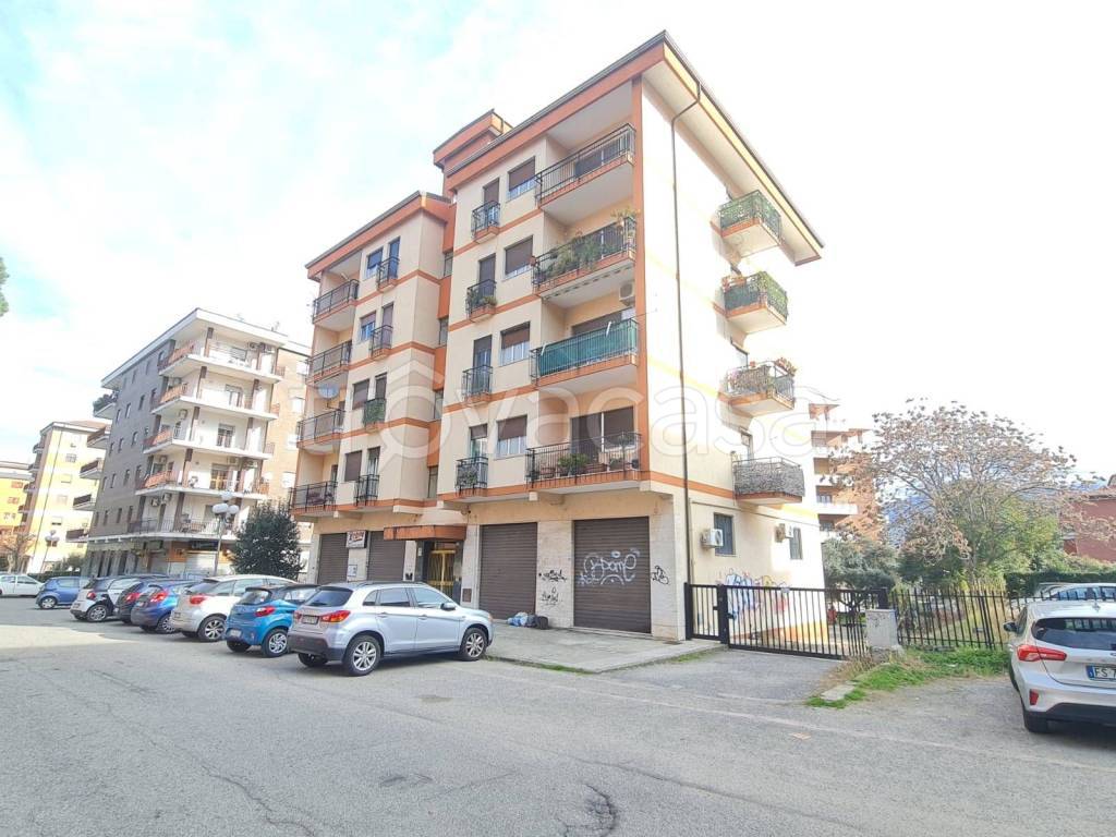 immagine annuncio 1 di 4