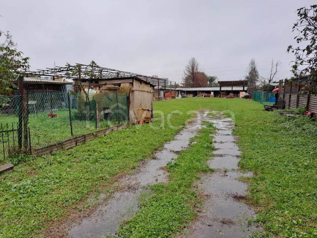 immagine annuncio 9 di 15