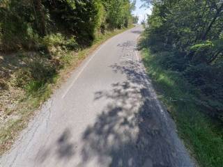 Terreno agricolo all'asta a carpineti via villaprara