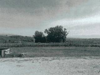 Azienda agricola all'asta a gualdo cattaneo via del polverone