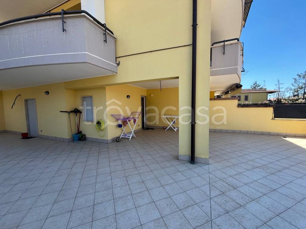 immagine annuncio 9 di 14