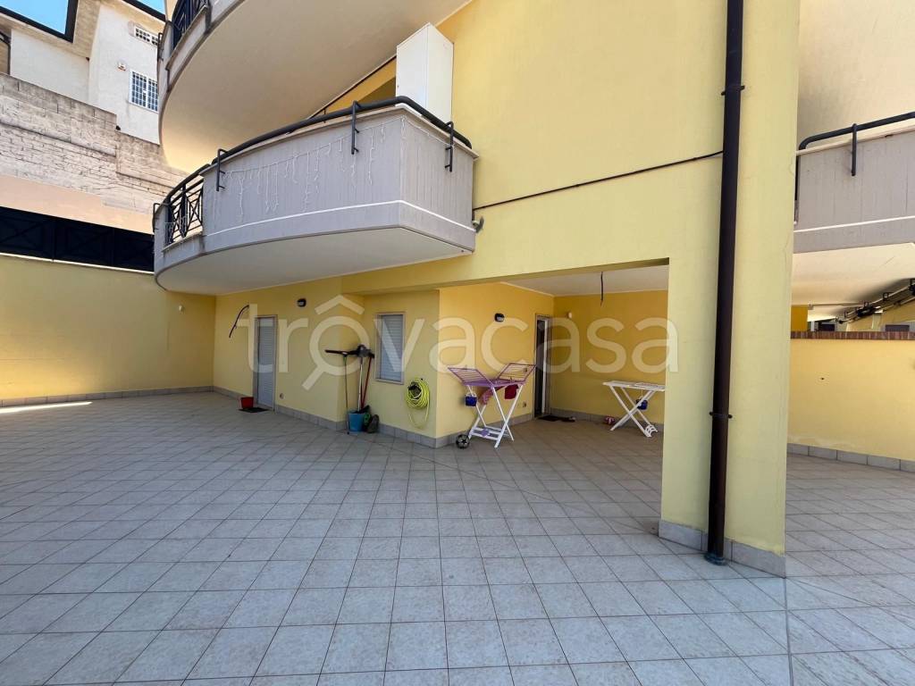 immagine annuncio 10 di 14