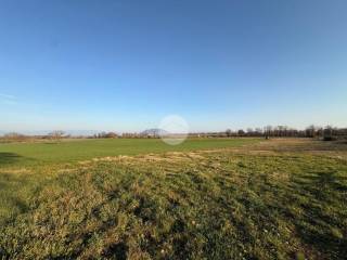 Terreno agricolo in vendita a castel sant'elia localita' pianavella