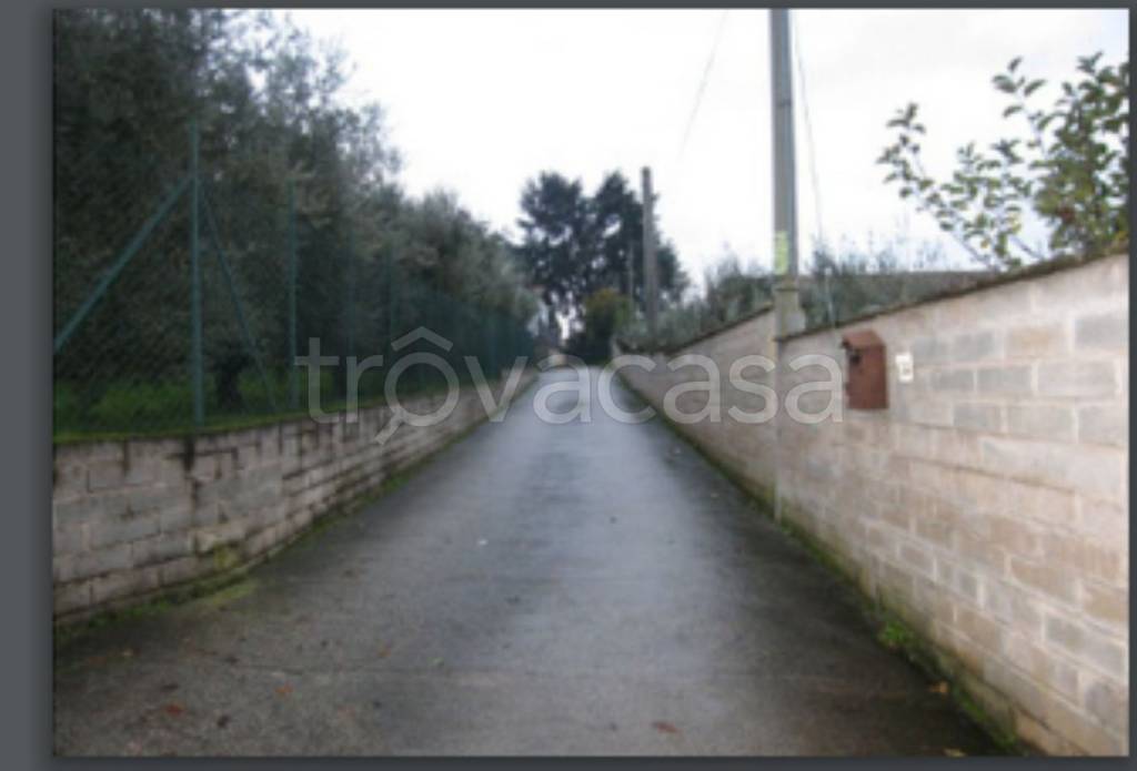 immagine annuncio 6 di 12