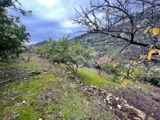 Terreno agricolo in vendita a bordighera str. giambranca