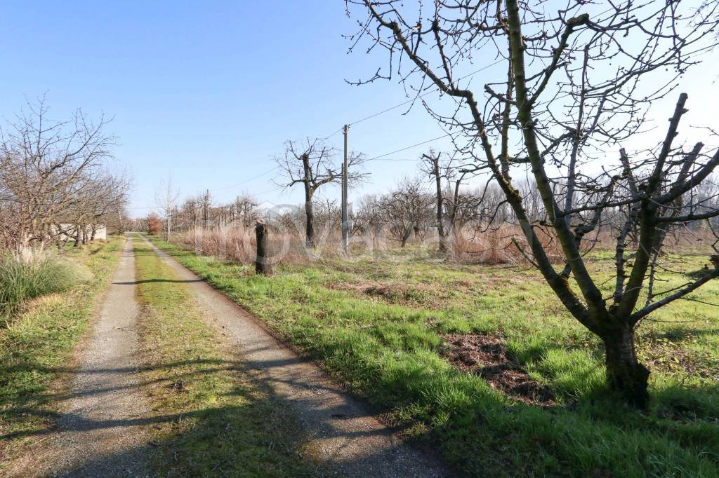 immagine annuncio 5 di 8