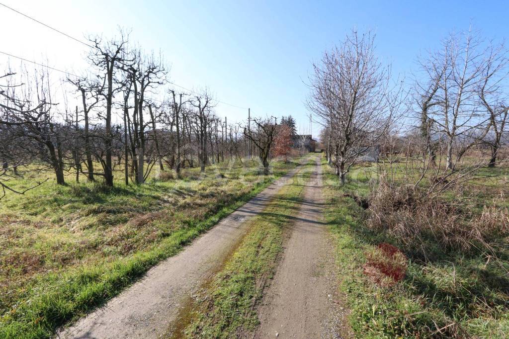 immagine annuncio 6 di 8