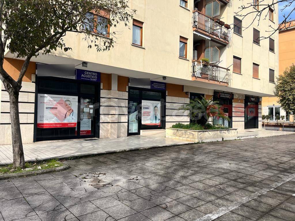 immagine annuncio 9 di 12