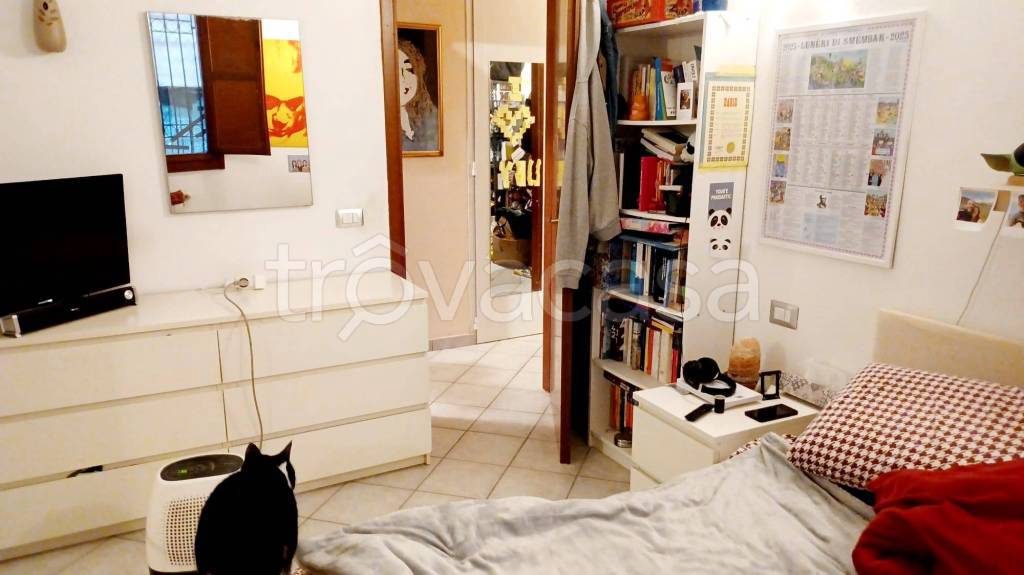 immagine annuncio 5 di 7