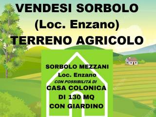 Terreno agricolo in vendita a sorbolo mezzani via italo focherini, 23