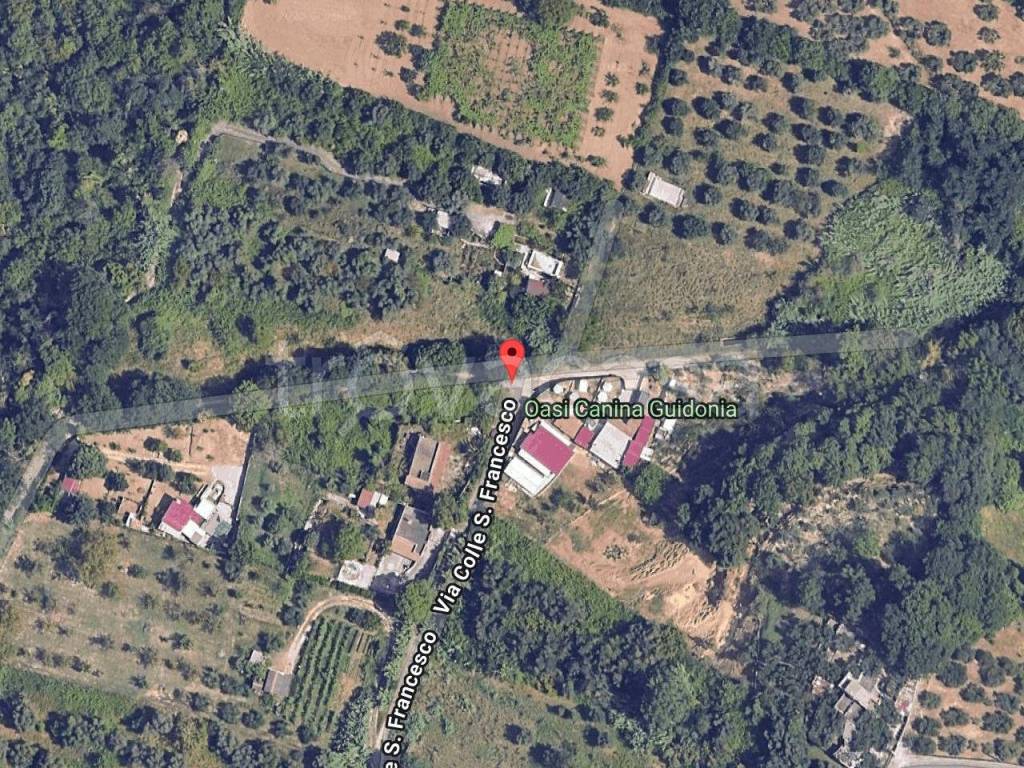 immagine annuncio 2 di 4