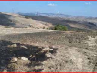 Terreno agricolo all'asta a pietracatella sp39