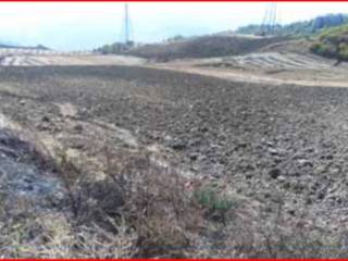 Terreno agricolo all'asta a pietracatella strada comunale sant'antuono