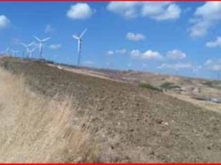 Terreno agricolo all'asta a pietracatella contrada varnavea