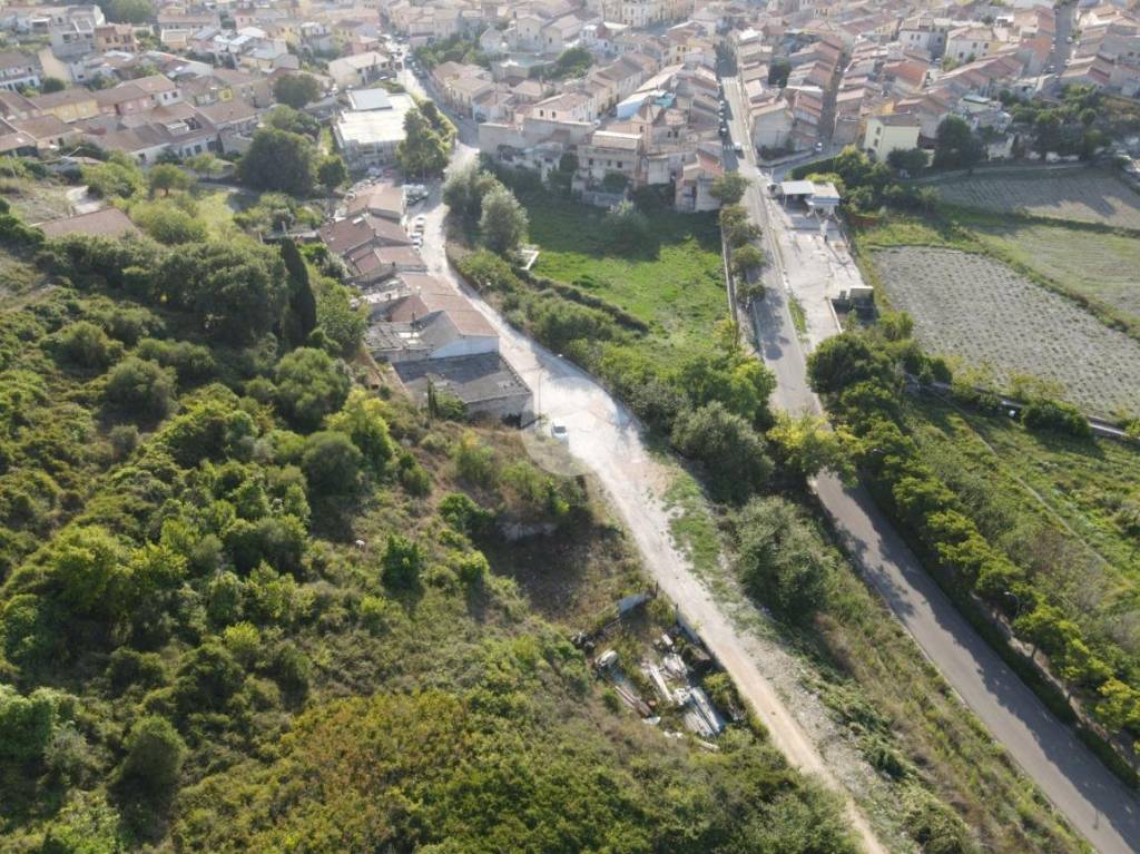 immagine annuncio 6 di 11