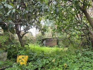 Terreno agricolo in vendita a messina località marotta 2/piano