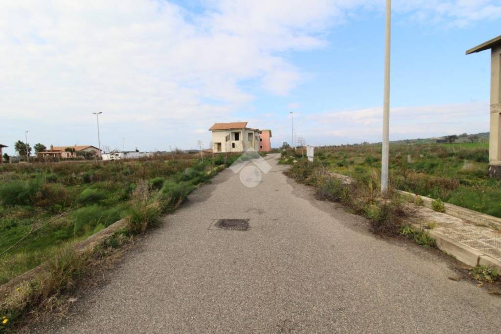 immagine annuncio 9 di 12