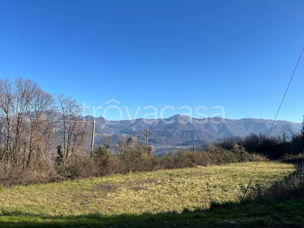 immagine annuncio 2 di 7