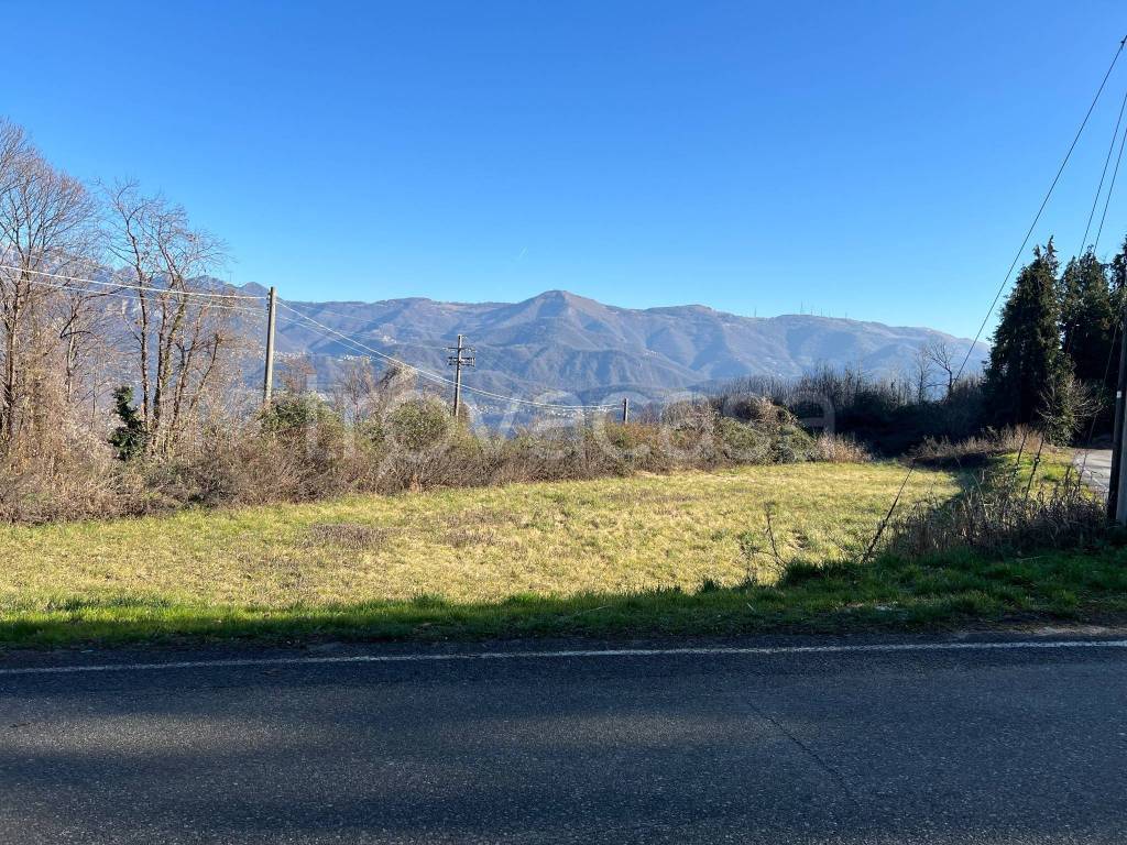 immagine annuncio 3 di 7