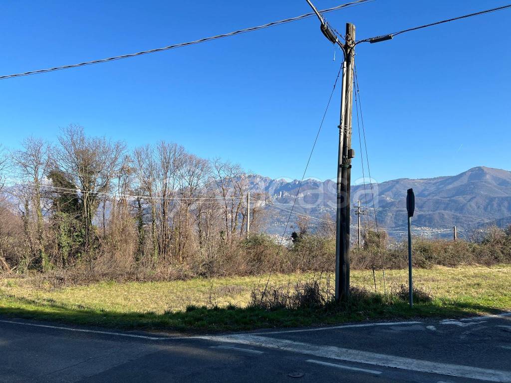 immagine annuncio 4 di 7