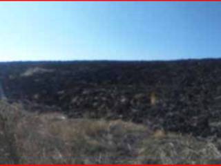 Terreno agricolo all'asta a pietracatella sp39