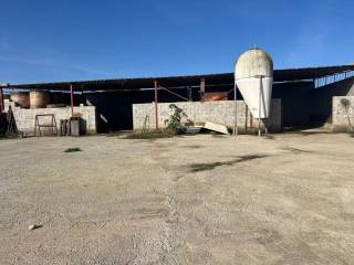 Terreno agricolo in vendita a sassari sassari nurra