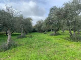 Terreno agricolo in vendita a sassari strada vicinale badde pedrosa - taniga