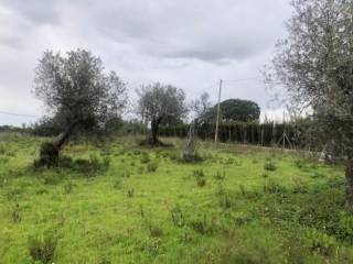 Terreno agricolo in vendita a sassari san camillo