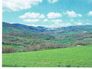 Terreno agricolo all'asta a santa croce di magliano sp148