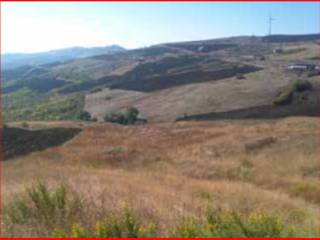 Terreno agricolo all'asta a pietracatella sp39