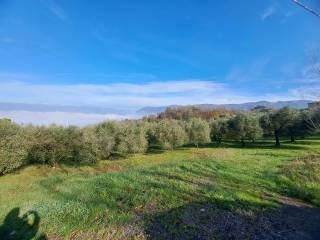 Terreno agricolo in vendita a sant'agata de' goti piazza trieste