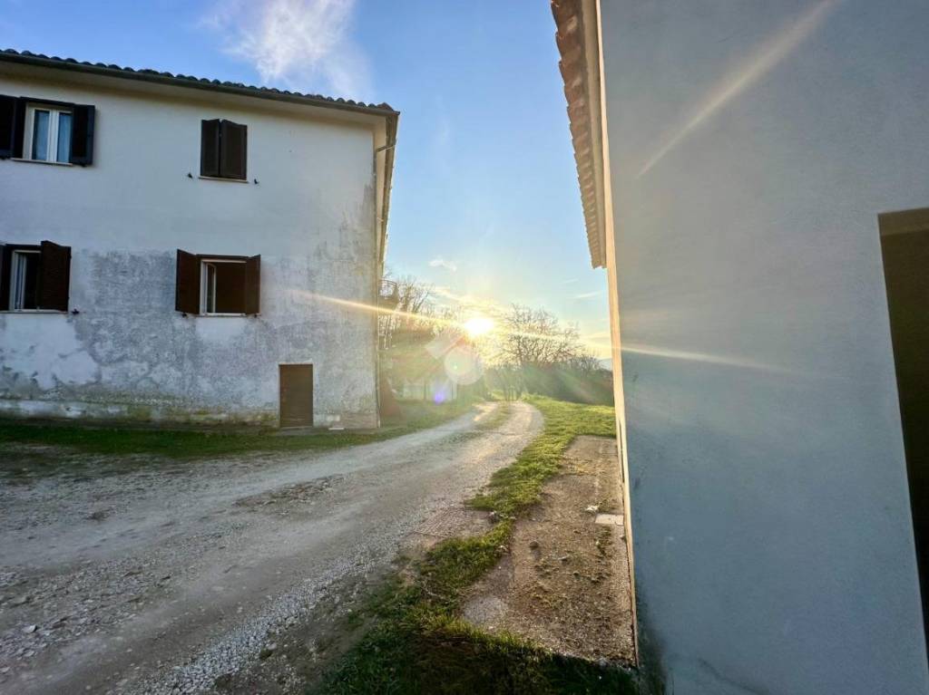immagine annuncio 5 di 6
