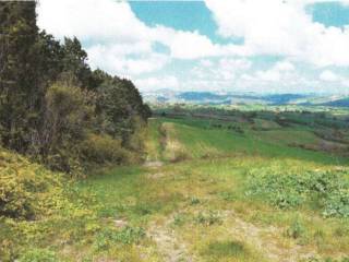 Terreno agricolo all'asta a santa croce di magliano via delle croci