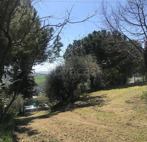 immagine annuncio 6 di 8
