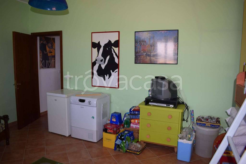 immagine annuncio 12 di 15